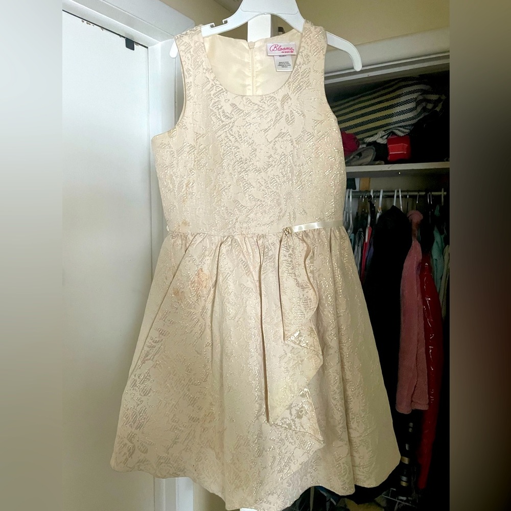 NWOT by Bloome beautiful champagne color dress